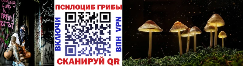 Псилоцибиновые грибы Psilocybine cubensis  Ладушкин 