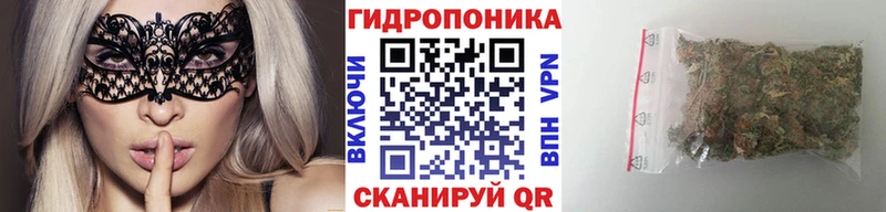 Бошки Шишки Ganja купить наркоту Ладушкин